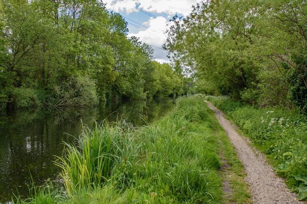 The One on the Trail - Marlow