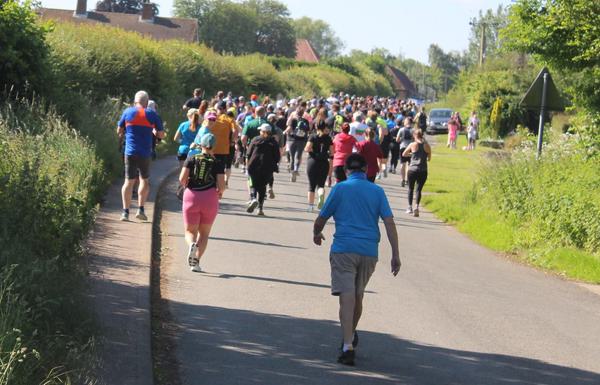 Valley of the Owls Run - 5k, 10k, Half Marathon, Full Marathon, Ultra Marathon